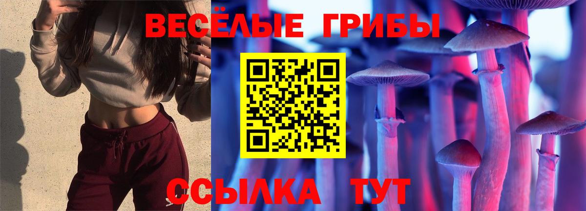 купить наркоту  Псилоцибиновые грибы мицелий  Улан-Удэ  Вход с VPN  Галлюциногенные грибы Magic Shrooms 